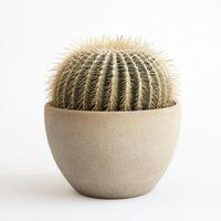 redondo dorado barril cactus en texturizado arcilla maceta en blanco antecedentes foto