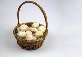 On a white background, there are collected mushrooms in a basket photo