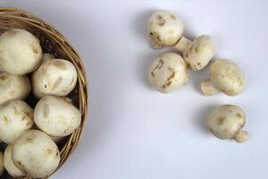 There is a basket of mushrooms on a white background, and a few more are lying in a pile nearby. photo
