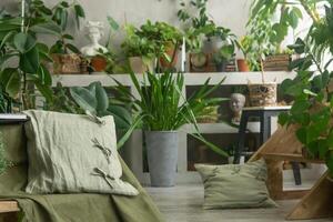 fragment of the interior with a variety of indoor plants and plaster sculptures. Urban jungle concept. Biophilia design. photo