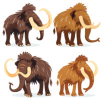 Four different illustrations of woolly mammoths. png