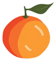 A vibrant illustration of a citrus fruit with a stem and leaf. png