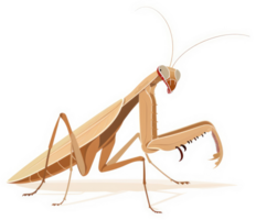 A detailed illustration of a light brown praying mantis. png