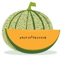 A whole cantaloupe with a slice, displaying its vibrant orange flesh and green rind. png