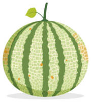 A cartoon illustration of a cantaloupe with a distinctive patterned rind. png