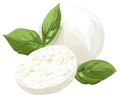 Fresh mozzarella balls and slices with basil leaves. png