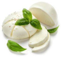 Sliced mozzarella cheese with fresh basil leaves. png