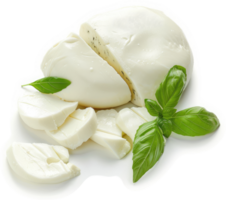 Sliced fresh mozzarella with basil garnish. png