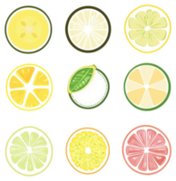 A collection of citrus fruit cross-sections, showcasing lemon, lime, and grapefruit varieties. png