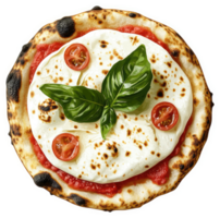 A delicious, artisanal pizza topped with fresh mozzarella, cherry tomatoes, and basil. png