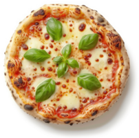 A delicious, artisanal pizza topped with fresh basil and melted mozzarella cheese. png