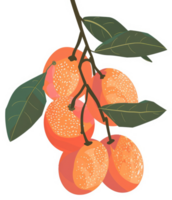 A cluster of vibrant, speckled fruits hanging from a branch. png