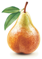 A vibrantly colored, detailed illustration of a ripe pear with leaves. png