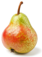 un soltero, vibrante pera, mostrando un hermosa mezcla de colores. png