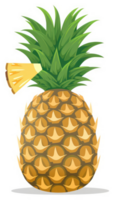 A vibrant illustration of a pineapple with a slice. png