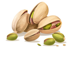 A collection of pistachios in their shells and out. png