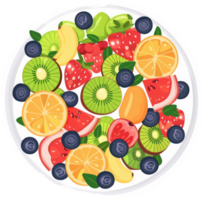 A colorful fruit salad plate overflowing with sliced kiwi, strawberries, blueberries, oranges, watermelon, and other fruits. png