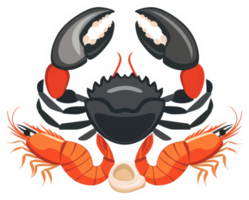 Colorful illustration of a crab and two shrimp. png