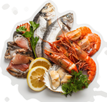 A platter of fresh seafood, featuring various types of fish, shrimp, and shellfish. png