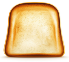 A toasted slice of bread with golden brown edges. png