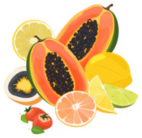 A vibrant display of tropical fruits, including papaya, lemon, lime, orange, and kiwi. png