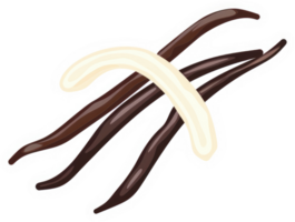 Illustration of vanilla beans with a creamy texture. png