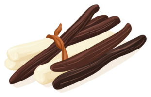 Tied vanilla beans in a colorful display. png