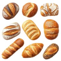 Diverse assortment of artisanal breads, showcasing various textures and toppings. png
