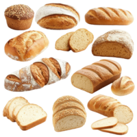 Diverse array of baked breads in various shapes and textures. png