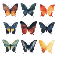 A collection of digitally altered butterfly wings, showcasing a vibrant array of colors. png