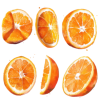 Vibrant citrus slices arranged in a graphic design. png