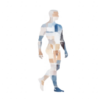 A stylized, abstract representation of a human figure in motion, showcasing movement and form against a white isolated background. png
