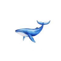 Colorful illustration of a majestic whale swimming gracefully in an ocean setting, highlighting its unique features and serene movement. png