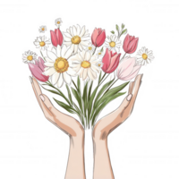 A pair of hands gently holding a vibrant bouquet of mixed flowers, including daisies and tulips, against a white background, symbolizing growth and care. png