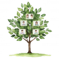 A visually engaging family tree illustration featuring multiple branches and framed portraits, symbolizing family heritage and connections against a white background. png