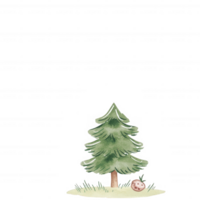 A charming illustration of a green pine tree with soft needles, accompanied by a small hedgehog resting on the grass, perfect for nature-themed designs. png