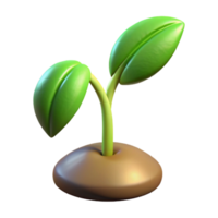 impressive rustic extraordinary modern A Sprouting Seedling Reaching Towards the authentic high resolution png