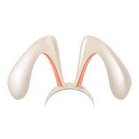 icon of mask with rabbit shape ears t4 vector