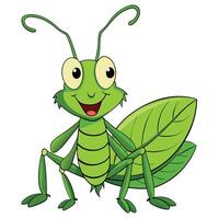 Cute green grasshopper cartoon insect illustration on white vector