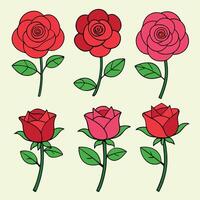 Collection of six roses with stems and leaves in red and pink vector