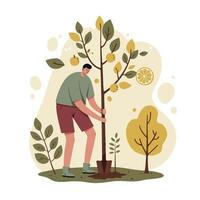 Man planting lemon tree in garden with autumn colours and natural landscape background vector