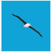 Albatross bird flying wide wingspan over clear blue sky illustration in square format vector