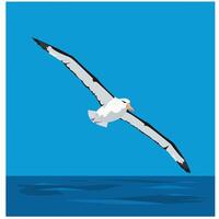 Albatross bird flying over ocean with blue sky background in minimalist style illustration vector