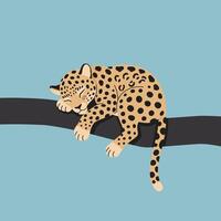 Sleeping leopard on tree branch with blue background illustration showing peaceful wild animal resting vector