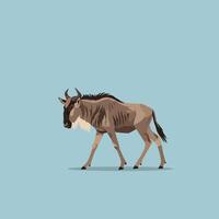 Wildebeest walking side view illustration on blue background with shadow and natural colors vector
