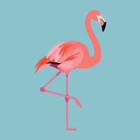 Pink flamingo standing on one leg with blue background simple illustration design vector