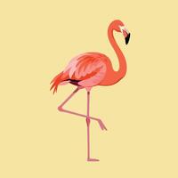 Flamingo standing on one leg in minimalistic flat design with pastel yellow background illustration vector