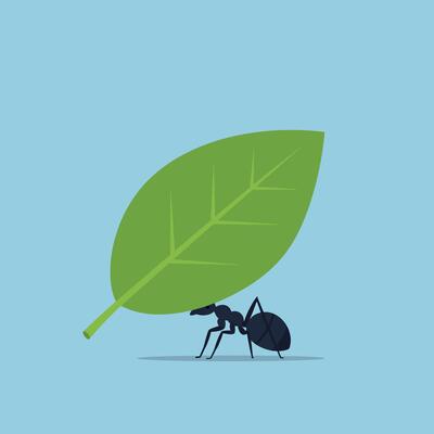 Black ant carrying green leaf on blue background illustration with simple nature theme
