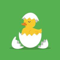 Cute yellow duckling hatching from white eggshell on green background illustration vector