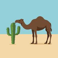 Camel and cactus in desert landscape simple illustration with blue sky and sandy ground vector